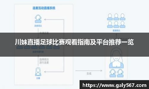 川妹直播足球比赛观看指南及平台推荐一览