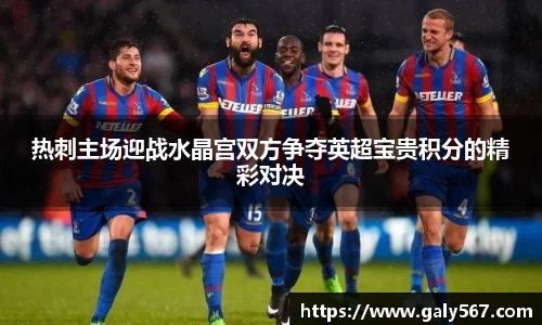 热刺主场迎战水晶宫双方争夺英超宝贵积分的精彩对决
