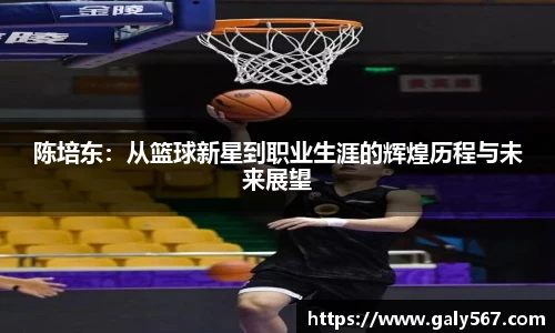 陈培东：从篮球新星到职业生涯的辉煌历程与未来展望