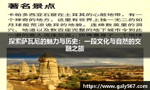 探索萨瓦尼的魅力与历史：一段文化与自然的交融之旅