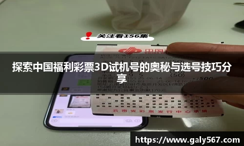 探索中国福利彩票3D试机号的奥秘与选号技巧分享