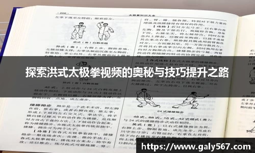 探索洪式太极拳视频的奥秘与技巧提升之路