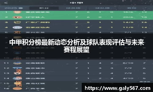 中甲积分榜最新动态分析及球队表现评估与未来赛程展望