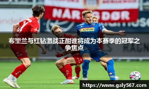 布里兰与红钻激战正酣谁将成为本赛季的冠军之争焦点